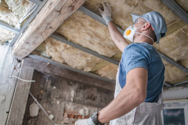 Best Residential Insulation in Green Valley, SD