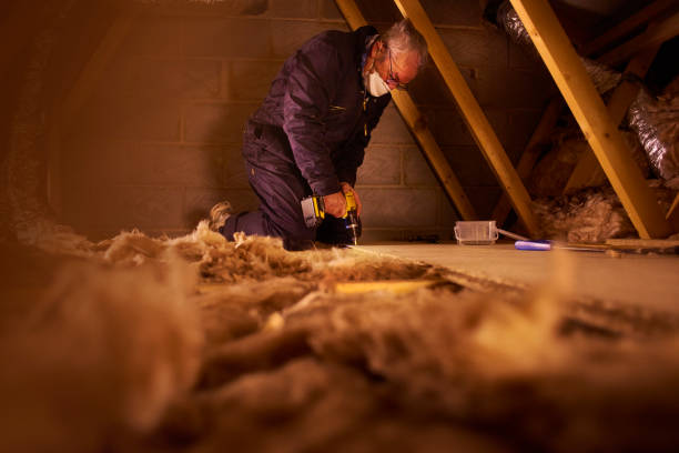 Best DIY Insulation Kits and Guidance in Green Valley, SD